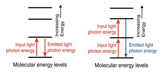 NLO Energy levels